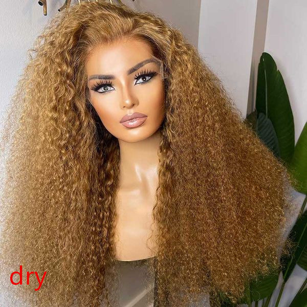 Limited Design | Honey Blonde  Jerry Curl 13X4 Lace Frontal  Long Wig 100% Human Hair UC015