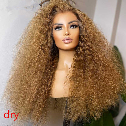 Limited Design | Honey Blonde  Jerry Curl 13X4 Lace Frontal  Long Wig 100% Human Hair UC015